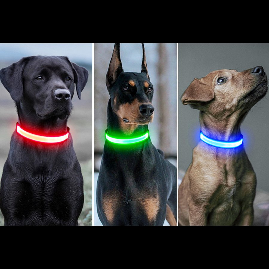 Oplaadbare honden halsband met led verlichting - veilig in het verkeer met uw hond - usb oplaadbaar en waterproof- makkelijk uw hond volgen in het donker